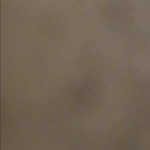 Meet your Posher, Idaly